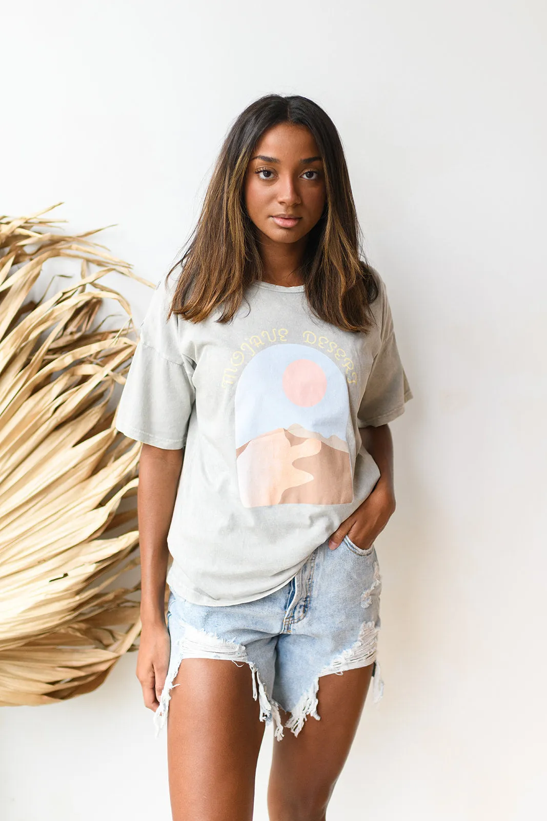 a day in the desert tee