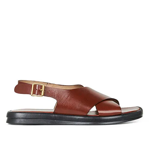 Angulus sandal